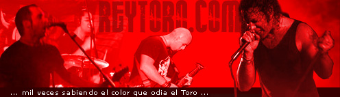 REYTORO.COM REYTORO.COM